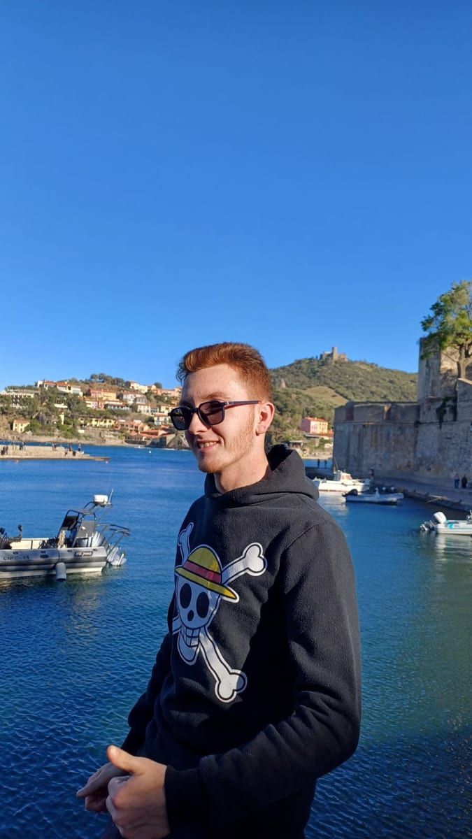 Profil von Reyad